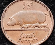 [#339] - Ireland 1942 | Irish 1/2d | Irish Half Penny | KM.10 | High Grade