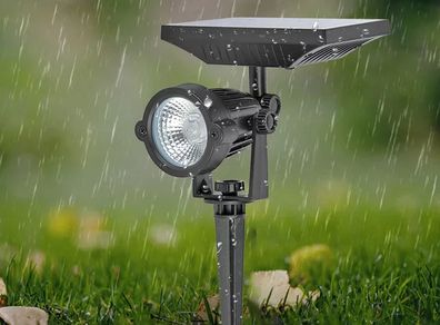 Solar Spike Light Warm White