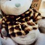 Large Dr. Bear (Grey) Large Teddy with Jacket. New . Image 5