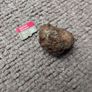Meteorite Sericho pallasite 18.3g Image 2
