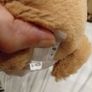 Betty the Corgi Jellycat Image 8