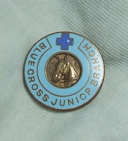 BLUE CROSS JUNIOR BRANCH (animal welfare charity) - junior membership enamel badge (1960's / 1970's)