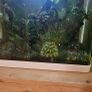 Shrimp tank Image 5