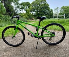62 Frog Bike