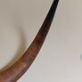 Bison cow large wall mounted horns Image 4