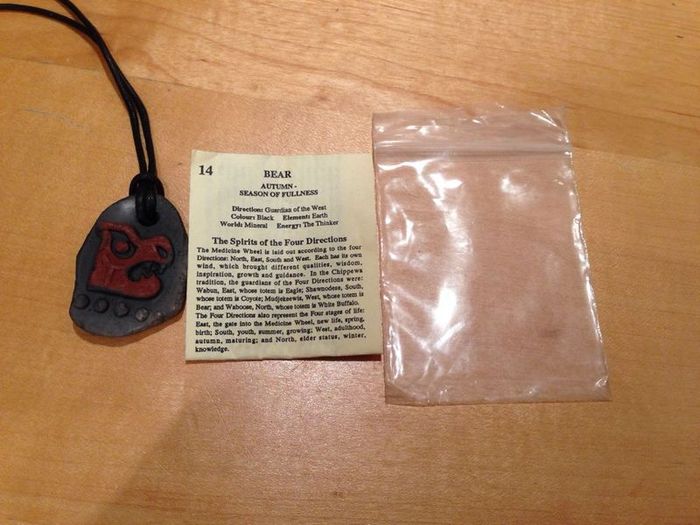 Coyote Totem  Energy Stones Necklace