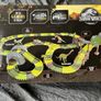 Dinosaur Track Set Image 2