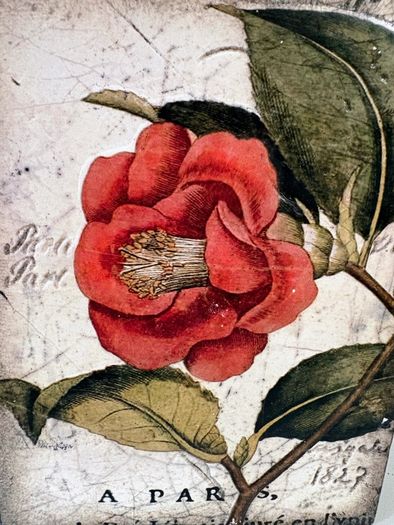 Sid Dickens memory block - Red Camellia T-404