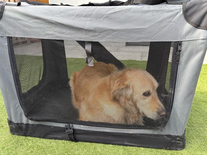 SAVIC Dog Crate & Carrier