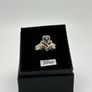Silver Image 5