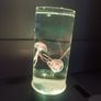 Sensory light with 7 different types of colours Image 6