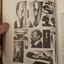Art And Photography. By Arron Scharf. An Important Work On An Involved Subject,illustrated With More Than 250 Telling Black And White Pictures.  Large Volume Paperback In Good Condition.  See Photos For Same. Image 9