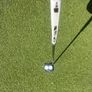 Odyssey Ten 2-Ball stroke lab Lined Mallet Putter Image 3