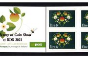 2021 Ireland Spring Stamp Fair Souvenir Booklet overprinting the 2019 Greetings Booklet Mint Never Hinged (MNH) noting No Stamp or Coin Show