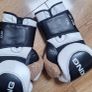 HIT Boxing Gloves & Pads Set Image 3