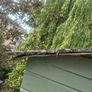 Treehouse Image 5