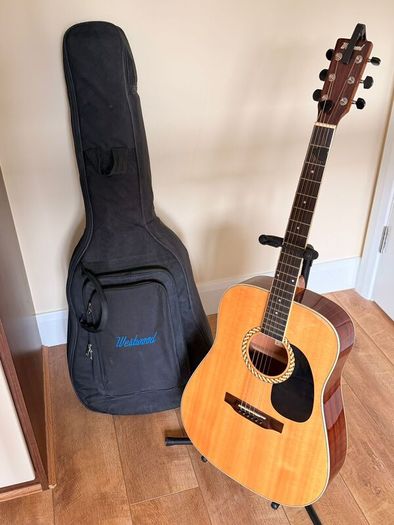 Acoustic guitar