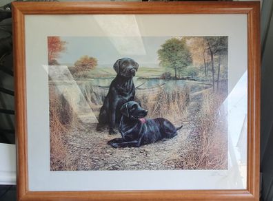 Two black labradors painting