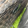 garden furniture Image 2