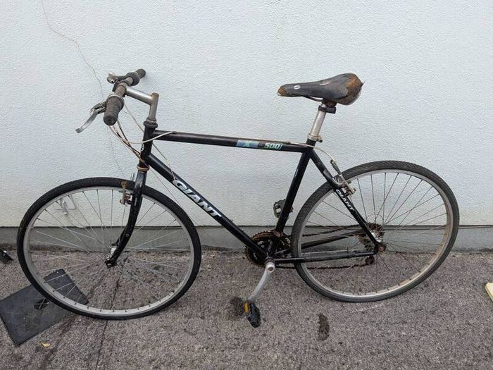 Project Giant Bicycle