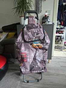 Hoppa shopping troley bag