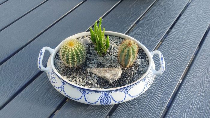 Fabulous Antique W. Adams Two-Handled Tureen with Cacti Garden - A Fabulous Unique and Decorative Item for Display Indoors