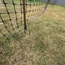 chicken fencing Image 5