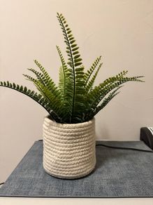 Artificial potted plant + Basket