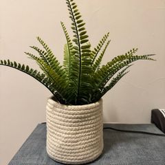 Artificial potted plant + Basket