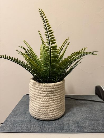 Artificial potted plant + Basket