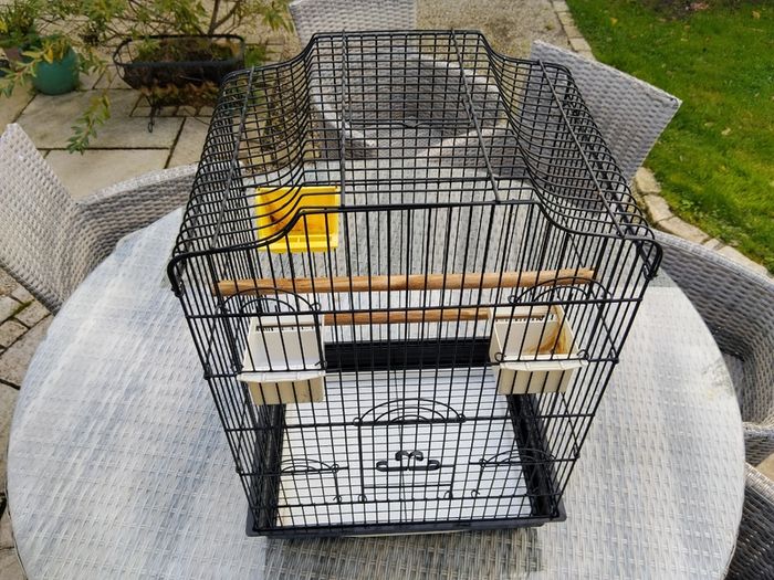 Bird Cage