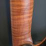 Harley Benton Guitar MAX Fusion Signature HO Image 4
