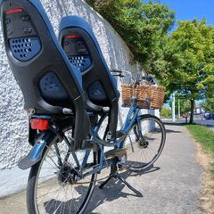 Long tail Cargo bike