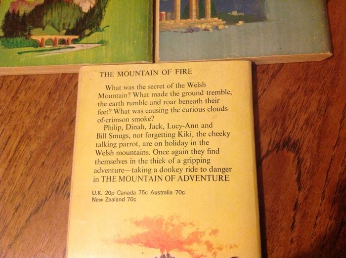 Vintage Enid Blyton Books 1970s Adventure Books Bundle