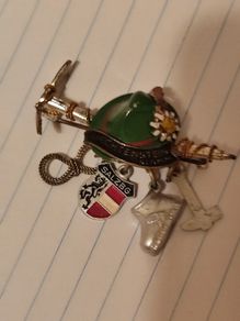 Antique Brooch Austrian Pin Souvenir