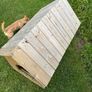 Dog House Image 4