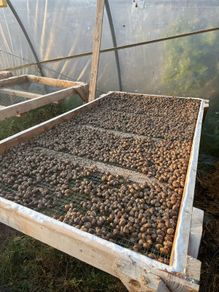 Snail Farm Equipment