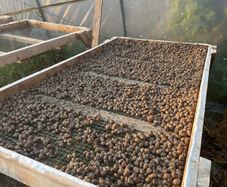 Snail Farm Equipment