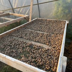 Snail Farm Equipment