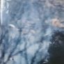 Cat stevens mona bina jakon 50th anniversary vinyl Image 3