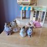 Sylvanian Family - Assortment of items Image 2