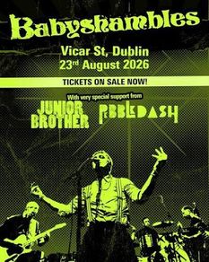 x2 Standing Tickets for Babyshambles @ Vicar St, 23/8/2026