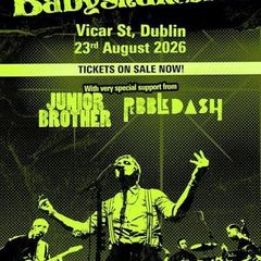 x2 Standing Tickets for Babyshambles @ Vicar St, 23/8/2026