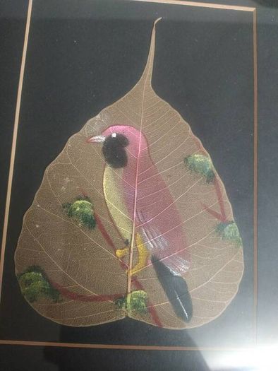 3x Peepal leaf pictures