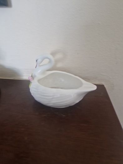 swan