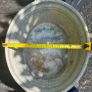 Vintage Galvanised Oval Wash Tub or Planter Image 8