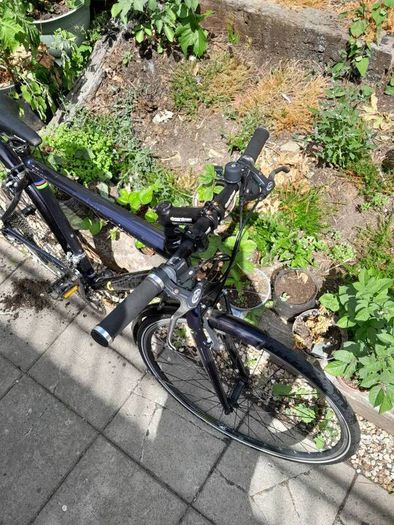 Boredman road bike