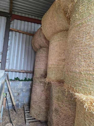 Hay Bales