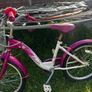 Bike Image 2