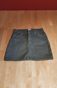 Only mini skirt